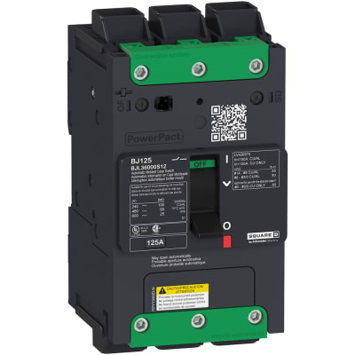 schneider-electric-bdl36000s12