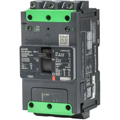 schneider-electric-bdl36020lu