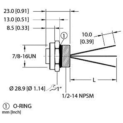 turck-rkf-31-05m